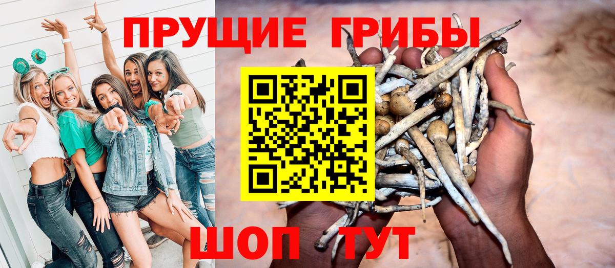 Изобильный  Галлюциногенные грибы мухоморы  Вход с VPN  Галлюциногенные грибы GOLDEN TEACHER 